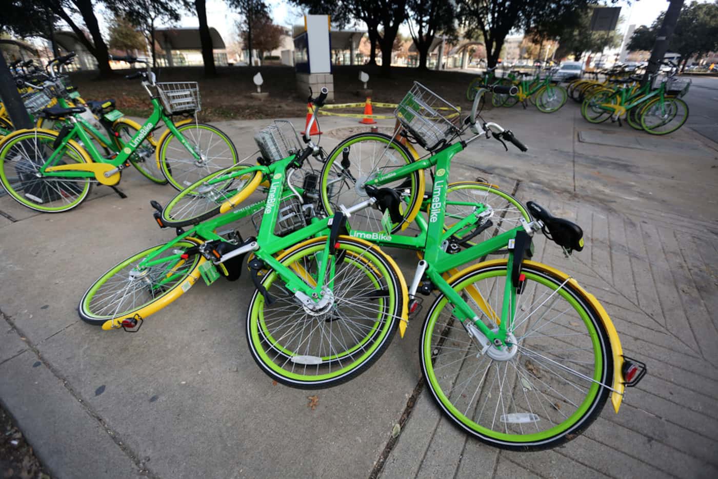 Rental bikes are piled on the corner of Live Oak and Olive Streets in downtown Dallas on...