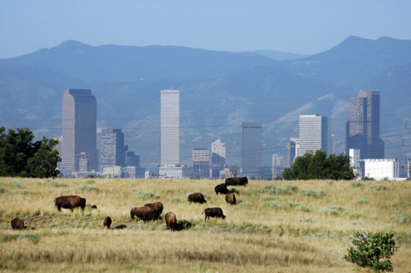 The Rocky Mountain Arsenal National Wildlife Refuge, at 15,000 acres, is the largest urban...