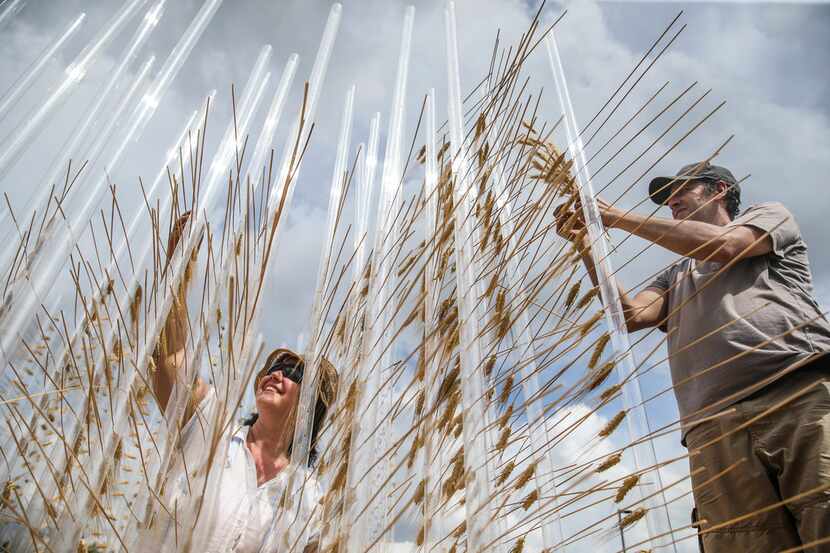 Yuliya (left) and Petar Illiev, of Richmond, California, works on their Wheat Sukkah during...