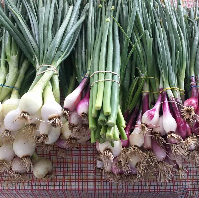 Spring onions from Williams Farm at the Dallas Farmers Market.