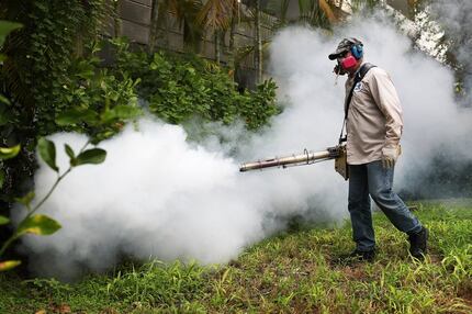 Carlos Varas, a Miami-Dade County mosquito control inspector, uses a Golden Eagle blower to...