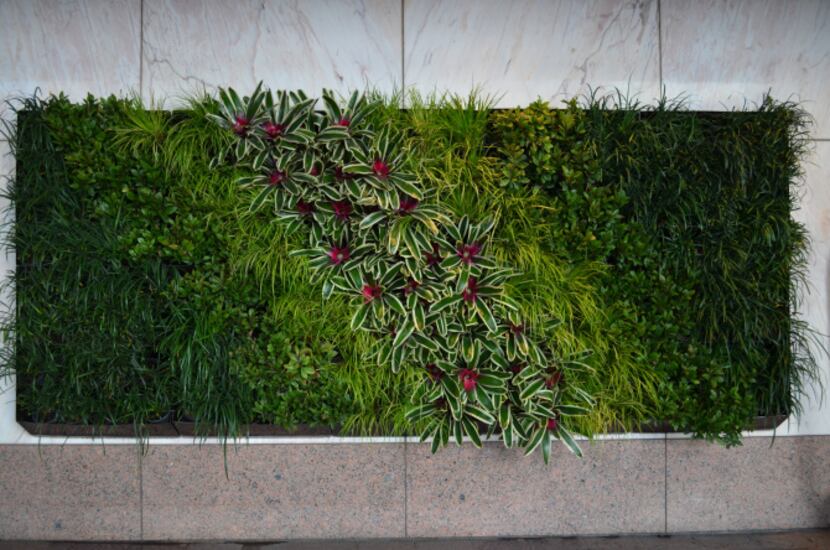 A living wall of grasses and plants converts vehicle carbon emissions into oxygen at the...