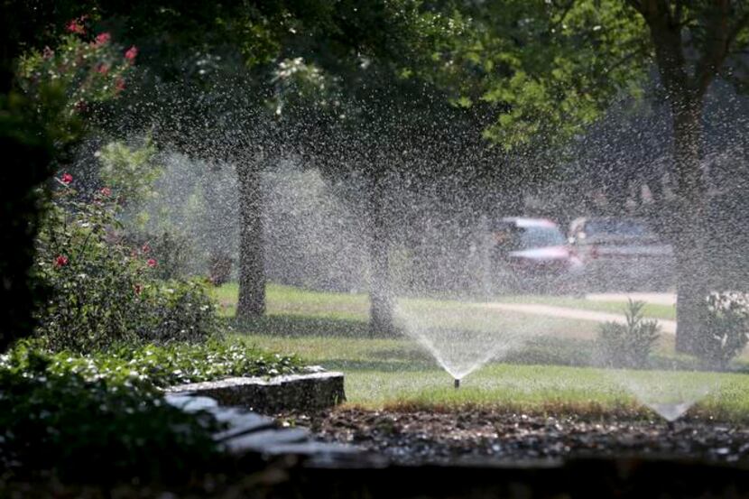 
Sprinklers normally turned on just once every two weeks in Plano got an extra day’s use on...