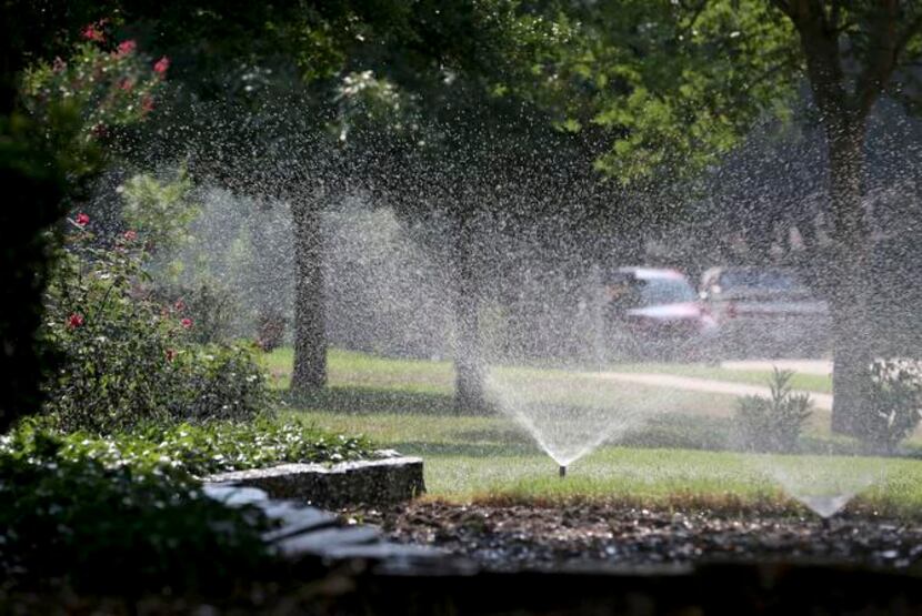 
Sprinklers normally turned on just once every two weeks in Plano got an extra day’s use on...