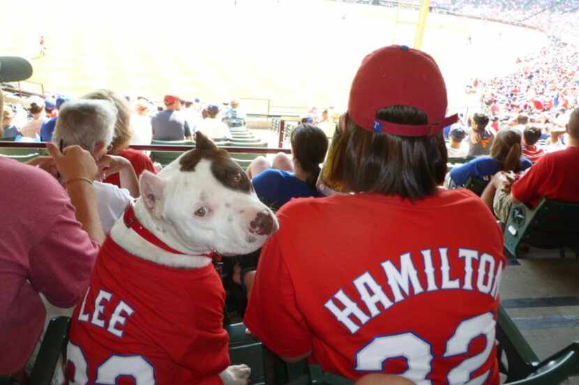 The Rangers' final Bark at the Park game is Saturday.