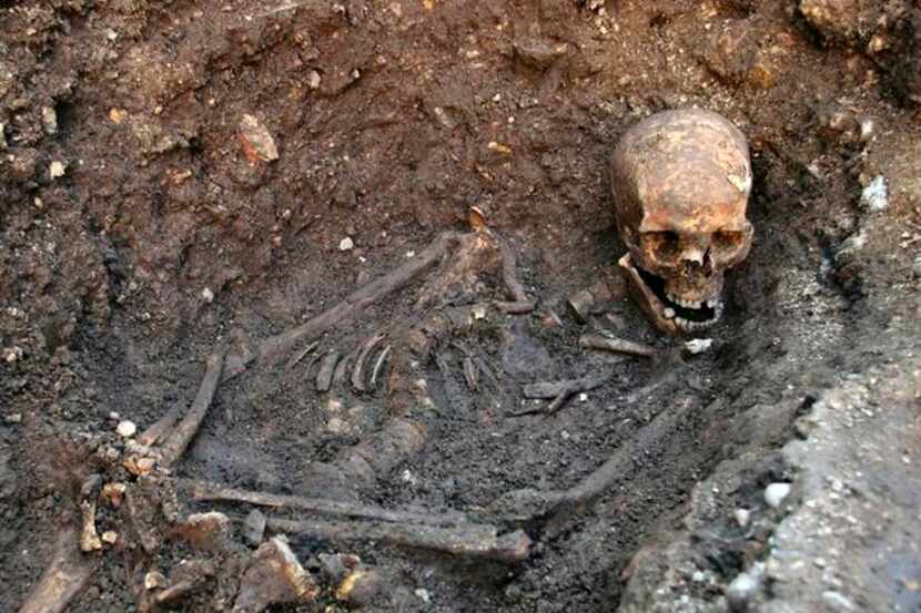 
This skeleton revealed that King Richard III had severe scoliosis and that he ate a lot of...