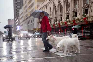 Steve Chrysler walks his dogs, Berlin and Stockholm, as rain falls on Commerce Street in...