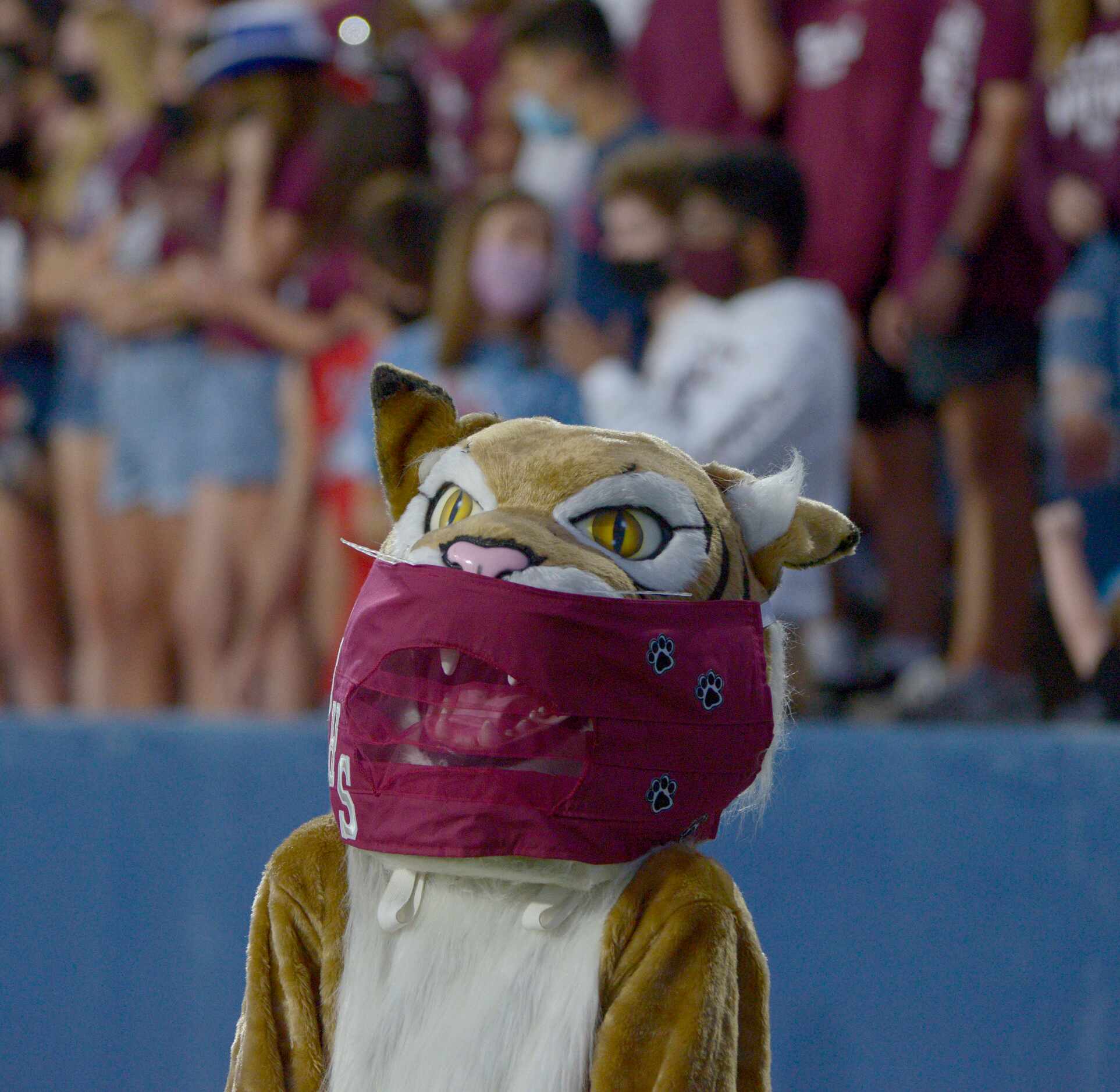 The Plano Wildcat wears a mask on the sidelines during a high school football game between...