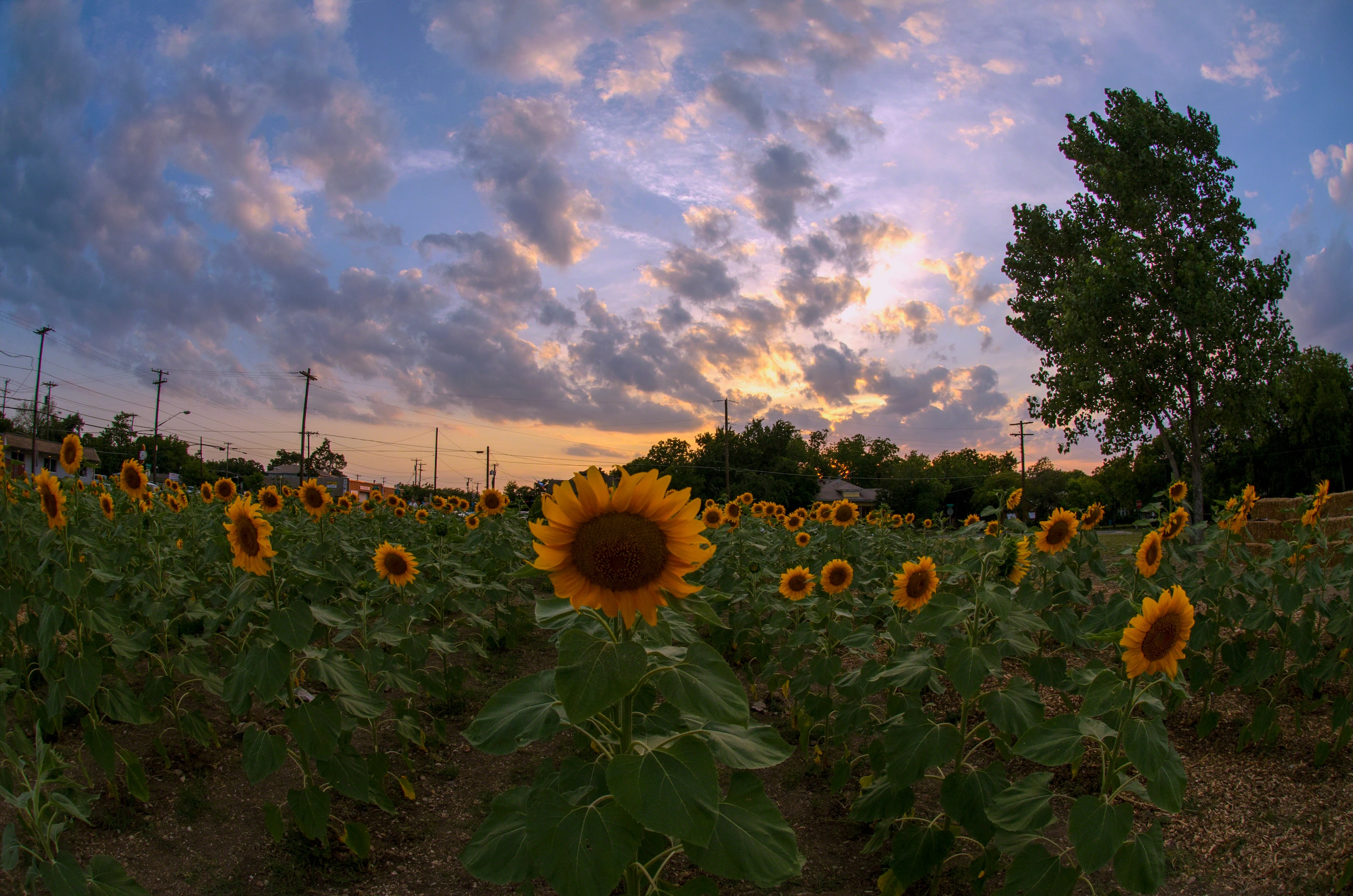 Check out a gallery of the best in our "landscape" category from local photographers like...