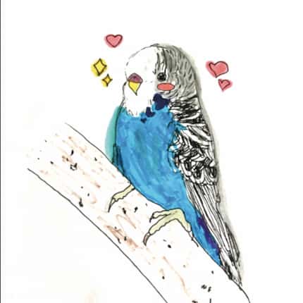 Writer Erin Hayes Burt's daughter drew this parakeet in anticipation of her new pet.