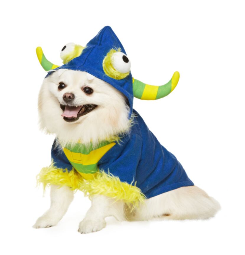PetSmart carries the Martha Stewart collection that includes charming costumes such as...