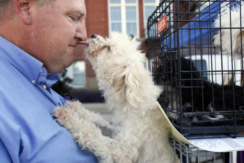 John Harper receives a lick on the nose from his pup Hannah as they wait in line for...