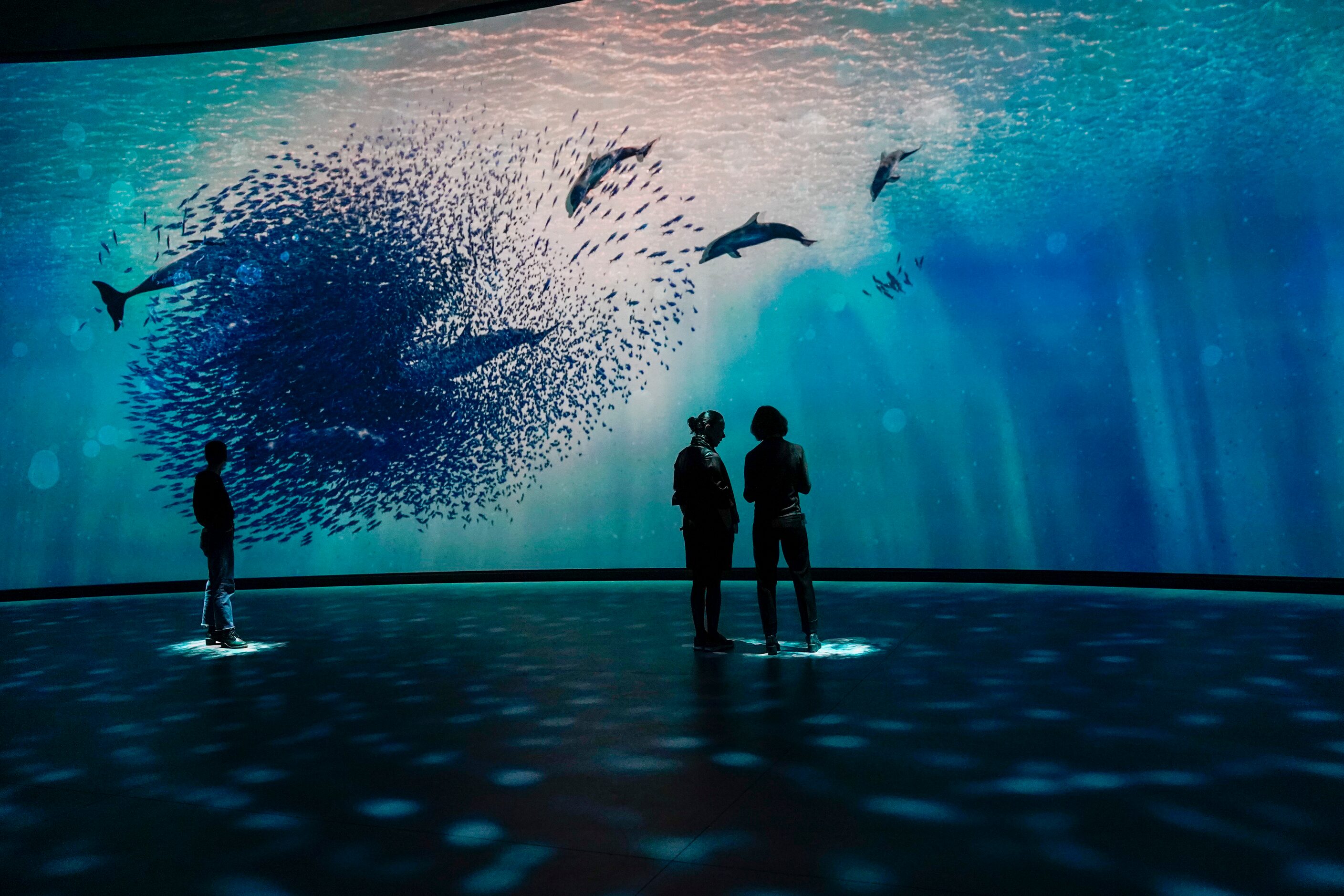 Visitors take in the Invisible Worlds interactive display during a media preview of the...