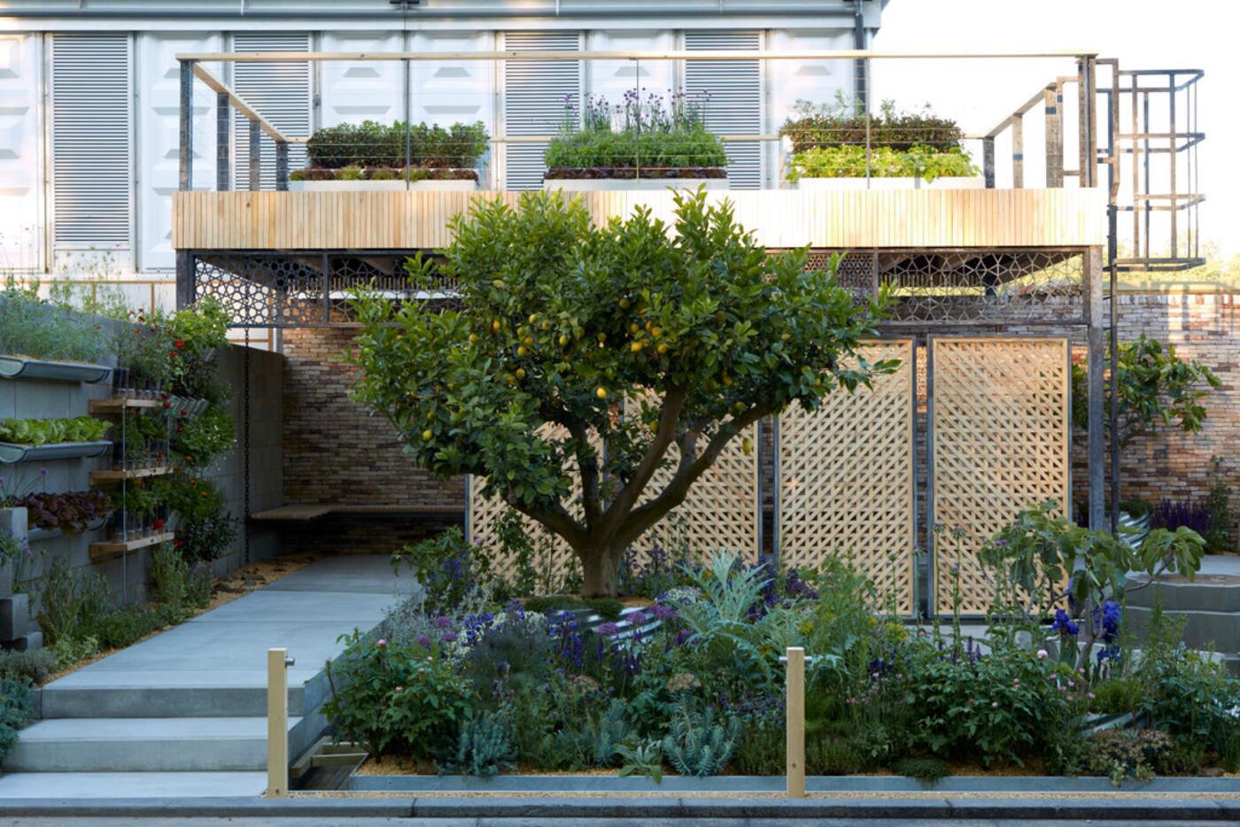 A full view of Lemon Tree Trust Garden at the Chelsea Flower Show, which won a Silver Gilt...