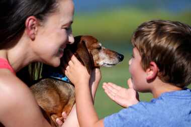 Donna Rosen surprises her son Braxton, 6, with their dog Bobo, who had been missing for over...