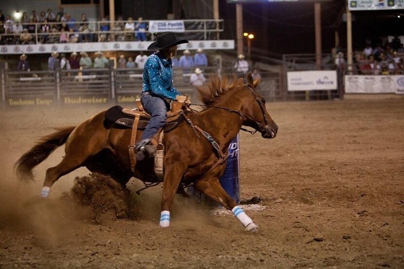 
Colorado State Fair

