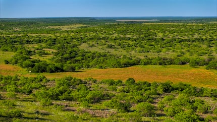 There are four fenced fields for winter wheat cultivation at La Mariposa Ranch, which goes...