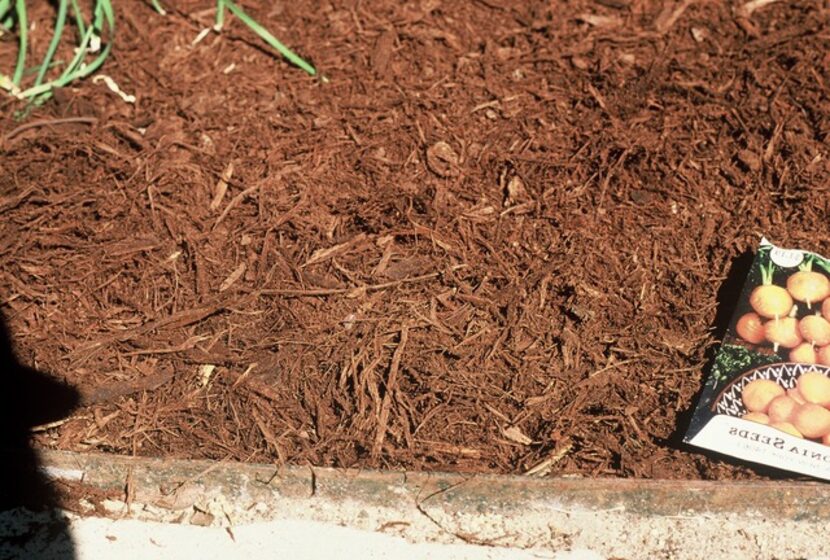 Shredded hardwood bark makes good mulch.