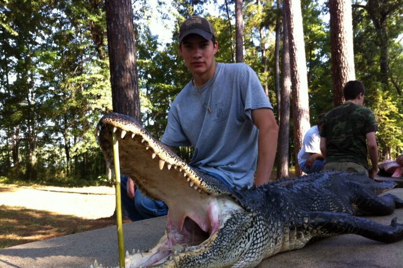 Ethan Hilliard of Denton took this 8 1/2-foot alligator at a Texas Parks and Wildlife...