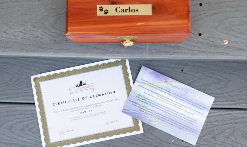 A certificate for the cremation of rescue Carlos’, a 6-year-old dog, sits on the steps of a...