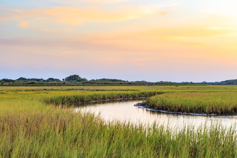 Powderhorn Ranch is one of the largest remaining tracts of unspoiled coastal prairie in...