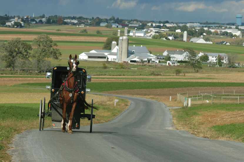 A horse and buggy travels along a Lancaster County back country road that twists among acres...