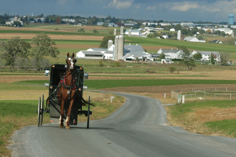 A horse and buggy travels along a Lancaster County back country road that twists among acres...