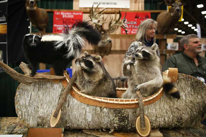 A taxidermy work sits on display during the Dallas Safari Club annual convention and...
