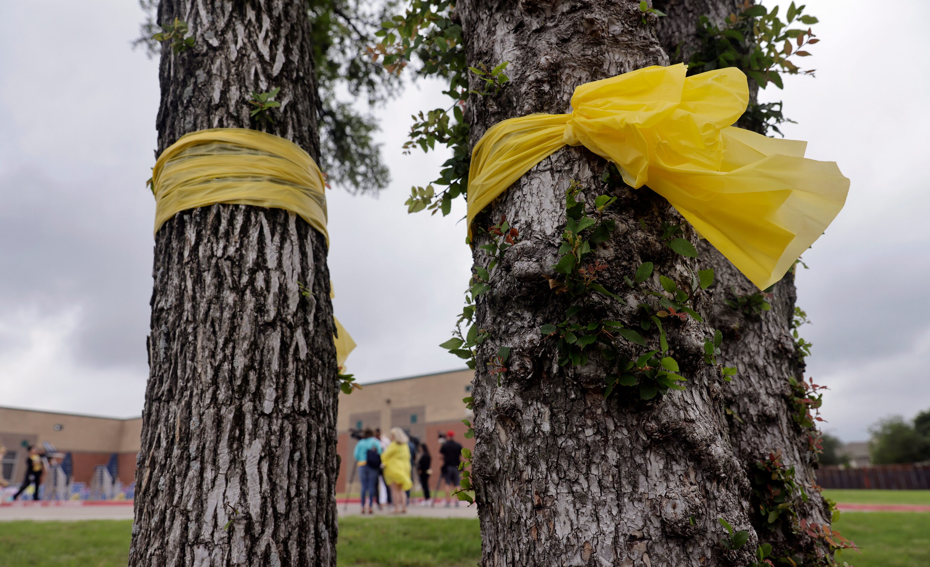 In remembrance of Daniela and Sofia Mendoza, yellow ribbons were tied to trees surrounding...