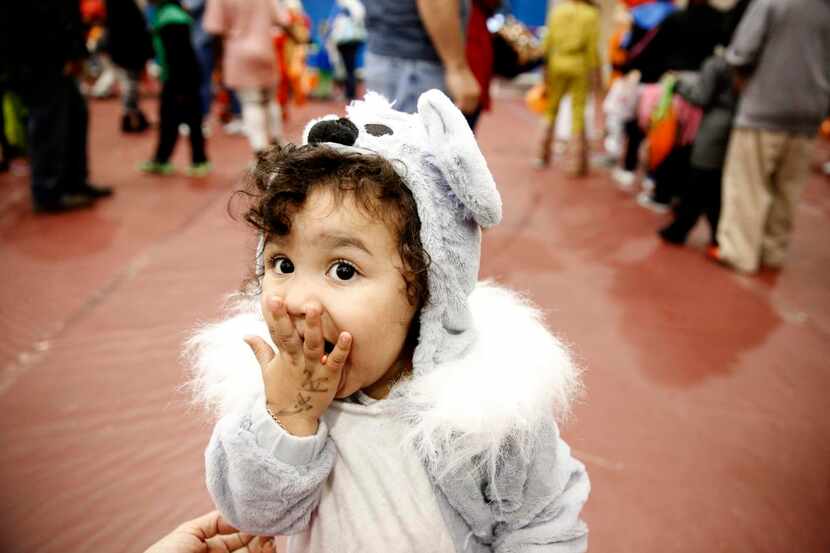 
Viviana Gaona, dressed as a koala bear, ate candy Friday during the city of Lancaster’s...