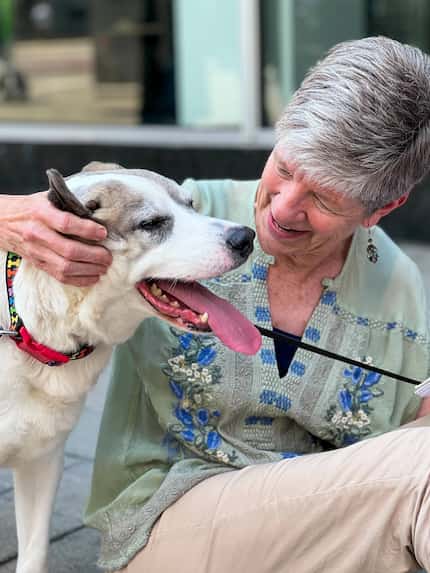 City columnist Sharon Grigsby visits with Patches after interviewing  owner DJ Loggins on...