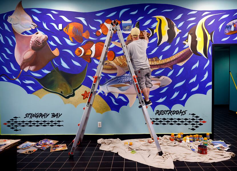 In preparation for the aquarium opening, muralist Steve Hunter of Dallas paints a scenic...