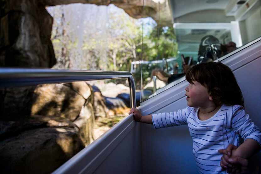  Penny Gilchrist, 2, held her mother's hand and watched as they rode under a waterfall...