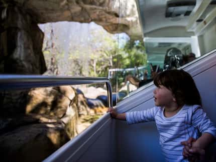  Penny Gilchrist, 2, held her mother's hand and watched as they rode under a waterfall...