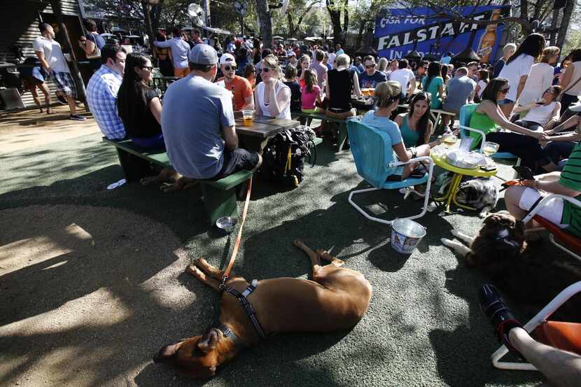 
The SPCA of Texas will have a party at pooch-friendly Katy Trail Ice House on Thursday.
