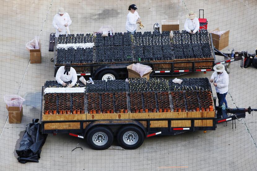 Pyrotex technicians   loaded fireworks onto aerial shell trailers for the June 11 show at...