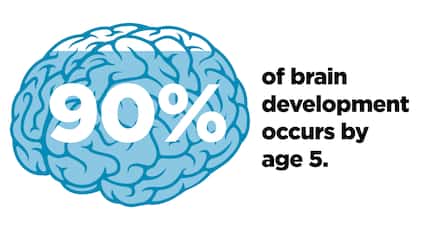 90% of a child's brain development occurs by age 5, according to research.