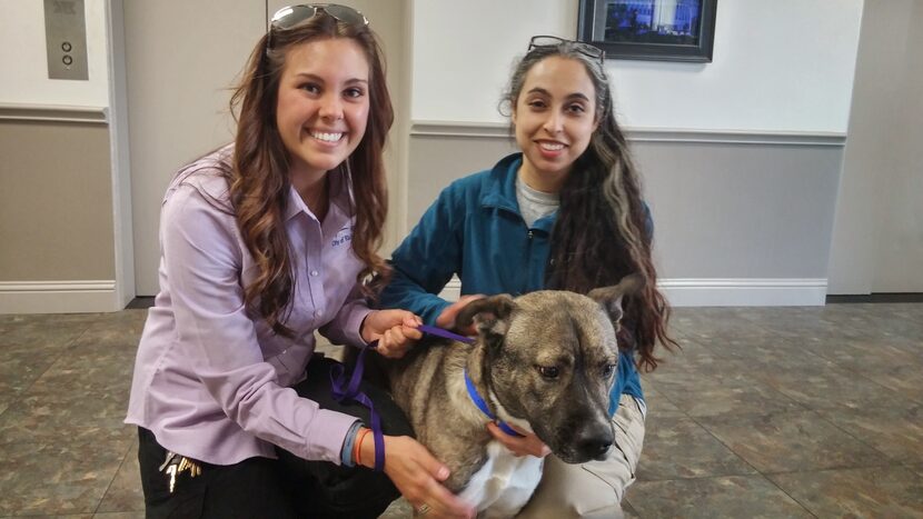  Take two. Much better. Courtney Shlensky and Noura Jammal of the Richardson Animal Shelter...