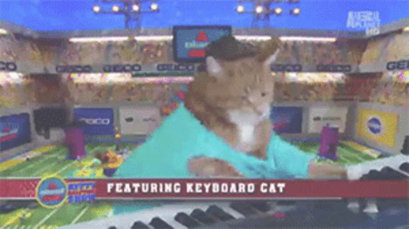 Beyonce and Coldplay, I'mma let you finish but Keyboard Cat had the best Halftime Show...