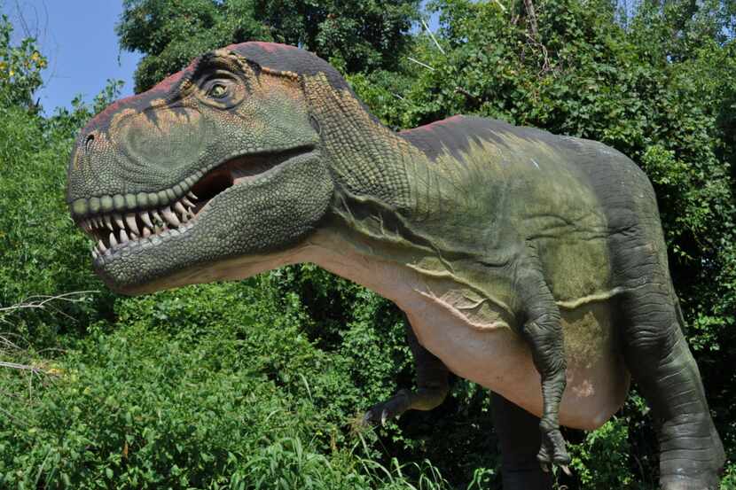 
An 18-foot-tall, 43-foot-long Tyrannosaurus rex that moves and roars is one of more than 20...