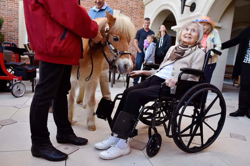 Dare bows his head upon meeting 92-year-old Joan Diamond, a gesture that Molly Meyer said...
