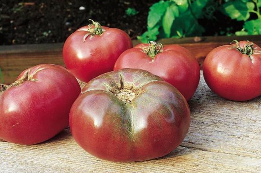 'Cherokee Purple' heirloom tomatoes