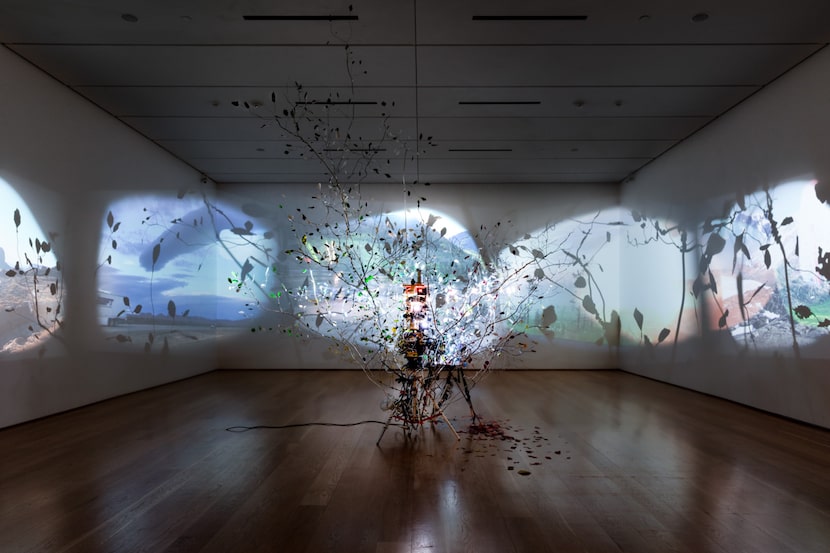 Sarah Sze: 'Love Song,' at the Nasher Sculpture Center