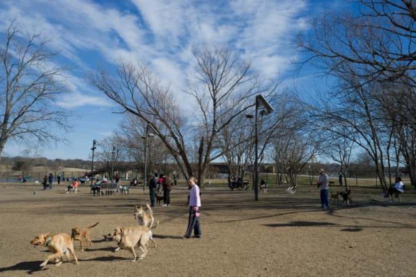 
If the city builds a restaurant on Boy Scout Hill at White Rock Lake, some residents are...