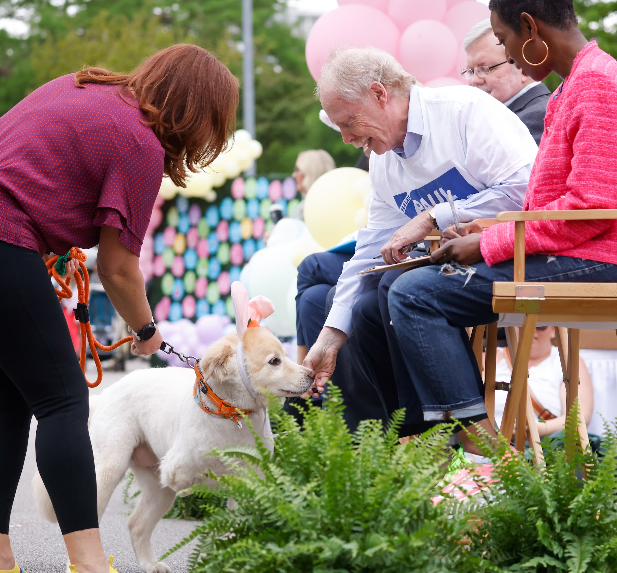 Dallas City Council member Paul E. Ridley (right) feeds a treat to a three-legged contestant...