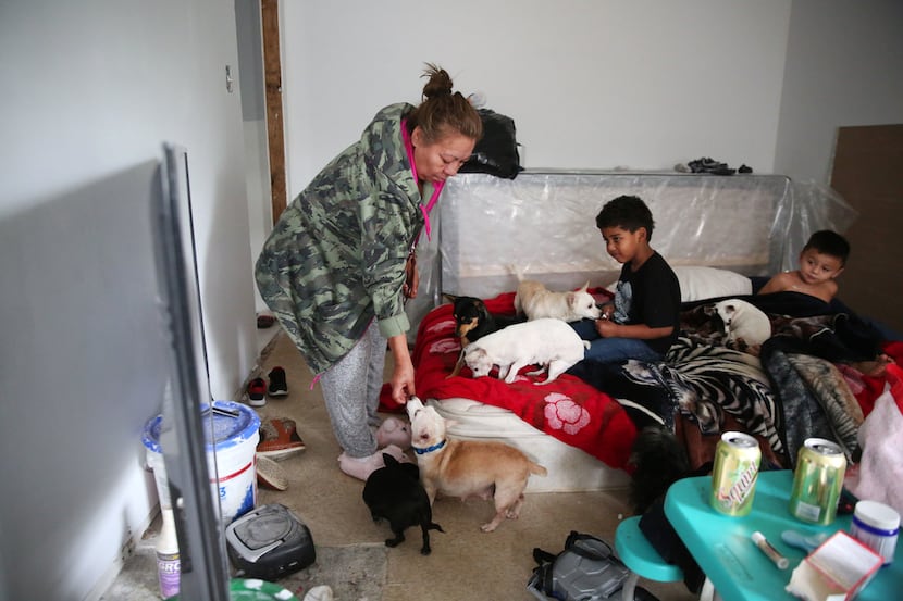 Petra Cervantes feeds marshmallows to her dogs while her grandsons Josiah Jackson (left), 4,...