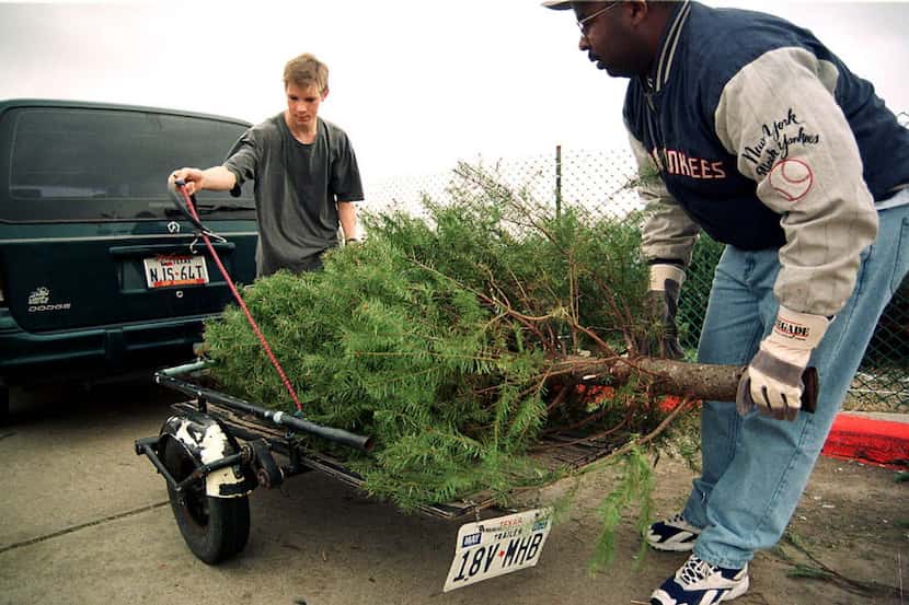 David Alexander y John Palsky bajan un árbol de navidad en un centro de reciclaje en Grand...