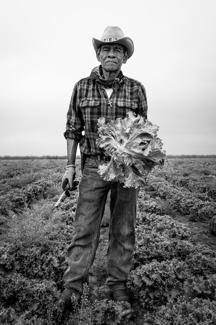 This harvester in Pearsall, Texas, is one of the more than 4,000 people Richard Sharum met...