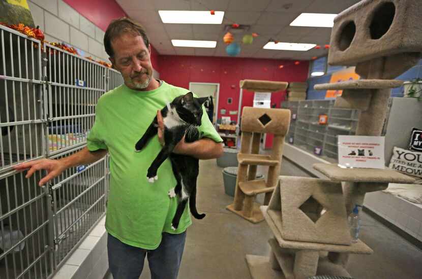 Matthew McFadden spent a little quality time with Trouble the cat at Dallas Animal Services...
