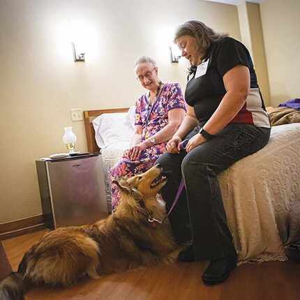 two women sitting and admiring a dog on a leash